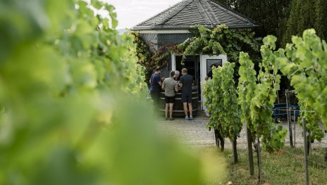 Schwarzes H&auml;uschen &copy;Max Meusel (37) kleiner