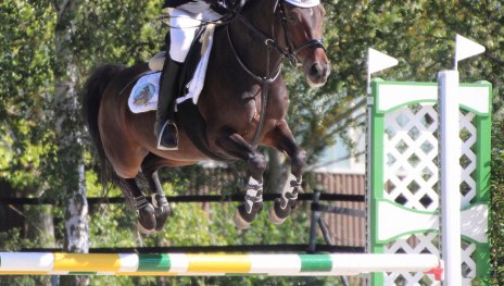 Sprung | &copy; Isabelle Diesler