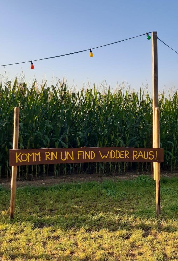 Maislabyrinth 1 | © Mareike Heckel