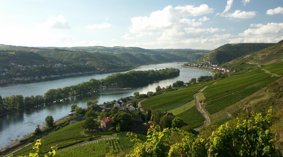 Rhein bei Lorch | © Weingut Laquai