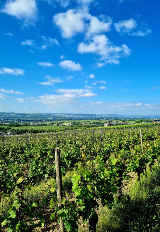 20210613_090050 | &copy; Daniela Herrmann