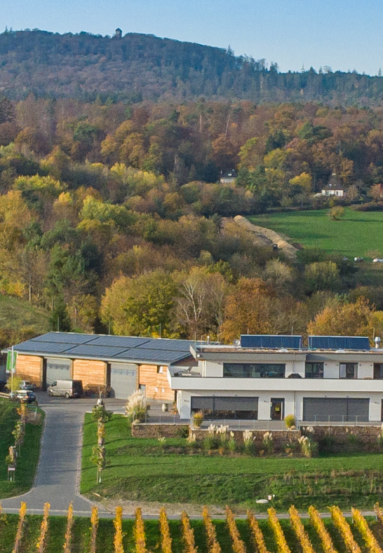 RieslingPier2020 | © Wagenpfeil