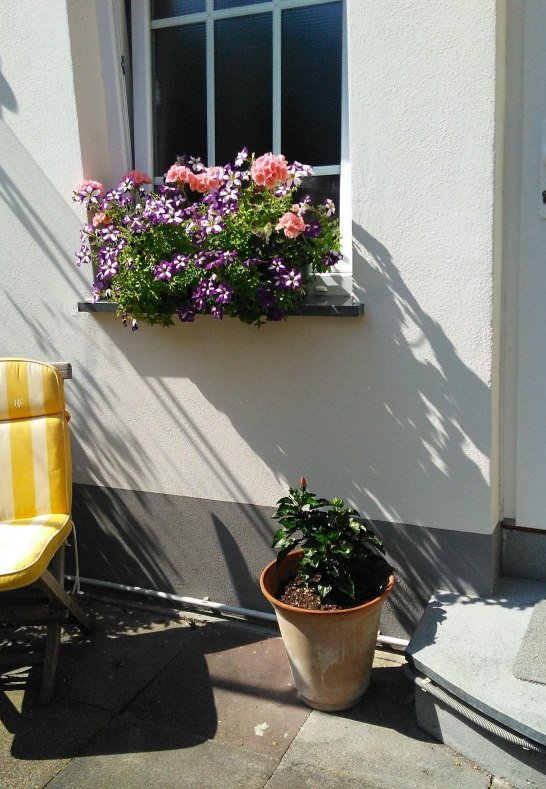 Eingang | &copy; Helga Kahle Elkady