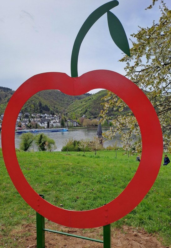 Mittelrheinkirsche