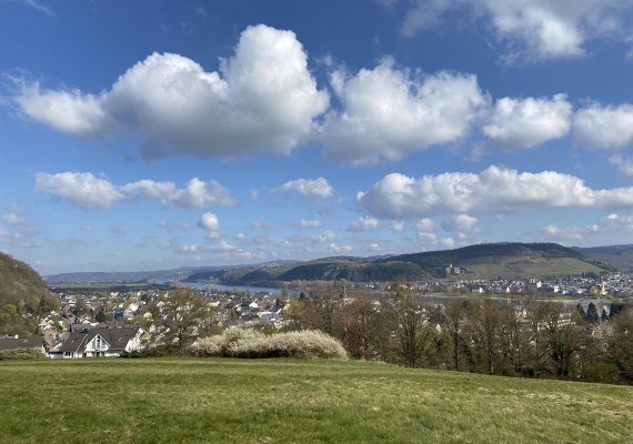 Fichtelwiese | &copy; Tourist-Information Bad Breisig