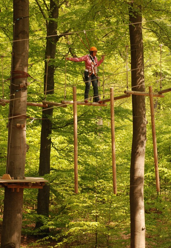 Kletterwald | &copy; Protime GmbH