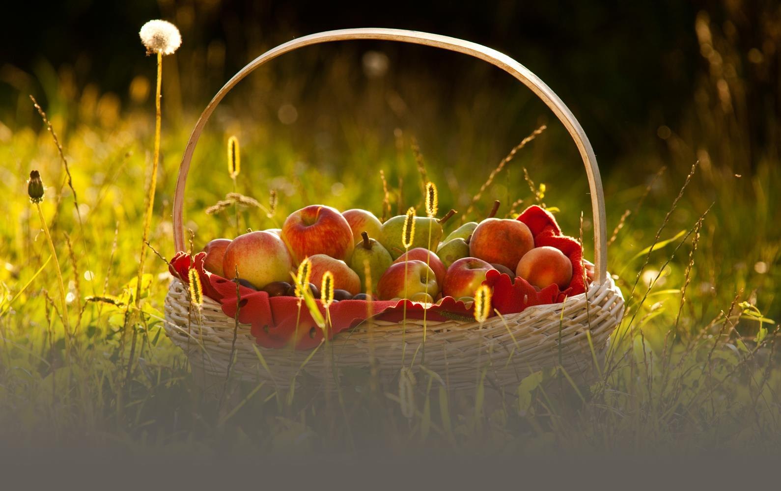 Obstkorb | &copy; &copy;Klaus-Peter Kappest / Verbandsgemeinde Wei&szlig;enthurm