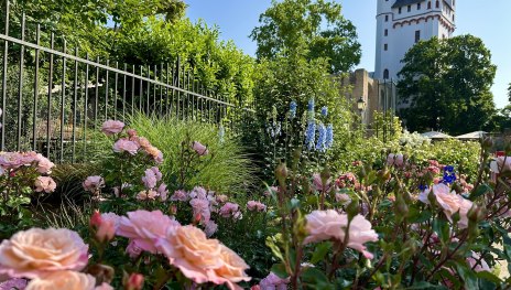 Kurf&uuml;rstliche Burg | &copy; Stadt Eltville am Rhein