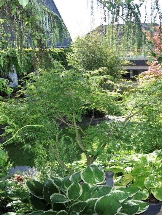 Besichtigung mit Führung möglich | © Zweckverband Welterbe Oberes Mittelrheintal Besichtigung mit Führung möglich | © Zweckverband Welterbe Oberes Mittelrheintal