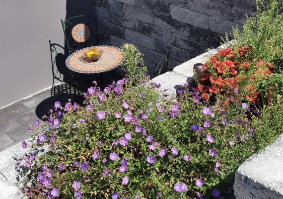 IMG_20220630_111924 | &copy; Schneider