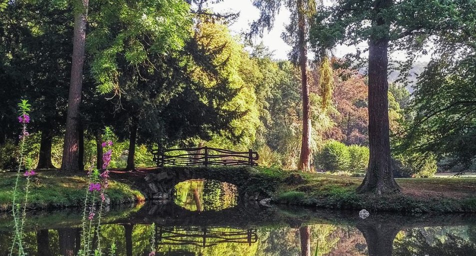 Schlosspark 02 | © Fürstlich Sayn-Wittgenstein'sche Verwaltung Schlosspark 02 | © Fürstlich Sayn-Wittgenstein'sche Verwaltung