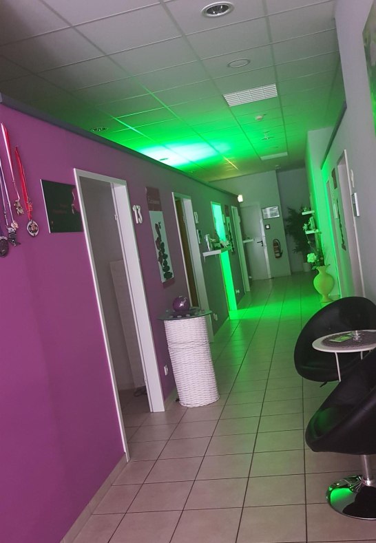 Tropical 2 | &copy; Jessica Bonnek