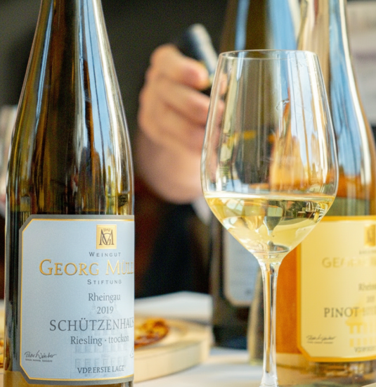 Riesling_Kompakt | © Georg Müller Stiftung - Bachhuber Riesling_Kompakt | © Georg Müller Stiftung - Bachhuber