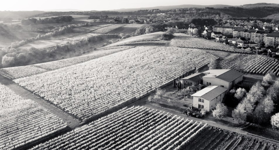 Weingut Freimuth* | &copy; Weingut Freimuth