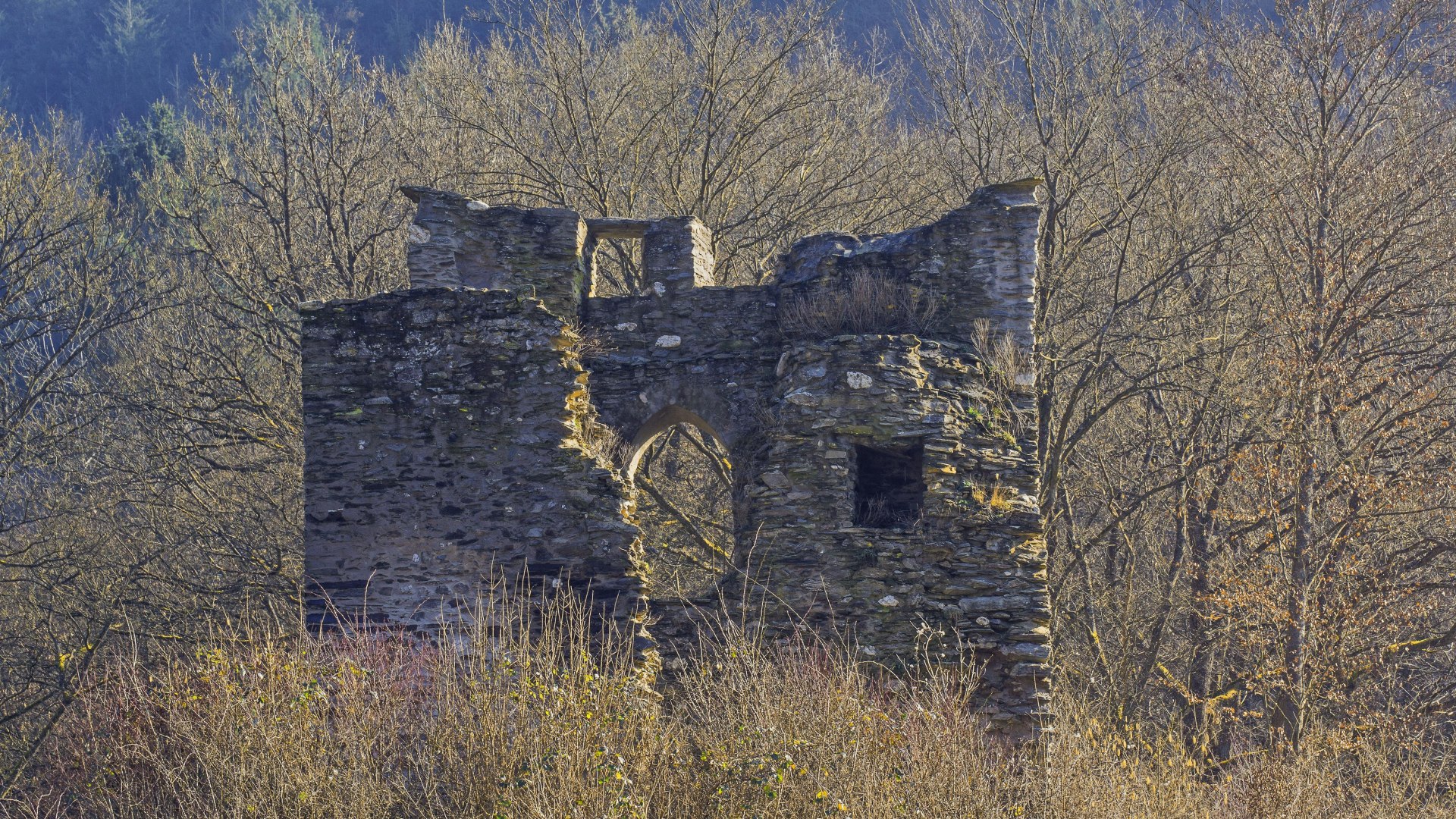 Lauksburg | © Friedrich Gier/Romantischer Rhein Tourismus GmbH Lauksburg | © Friedrich Gier/Romantischer Rhein Tourismus GmbH