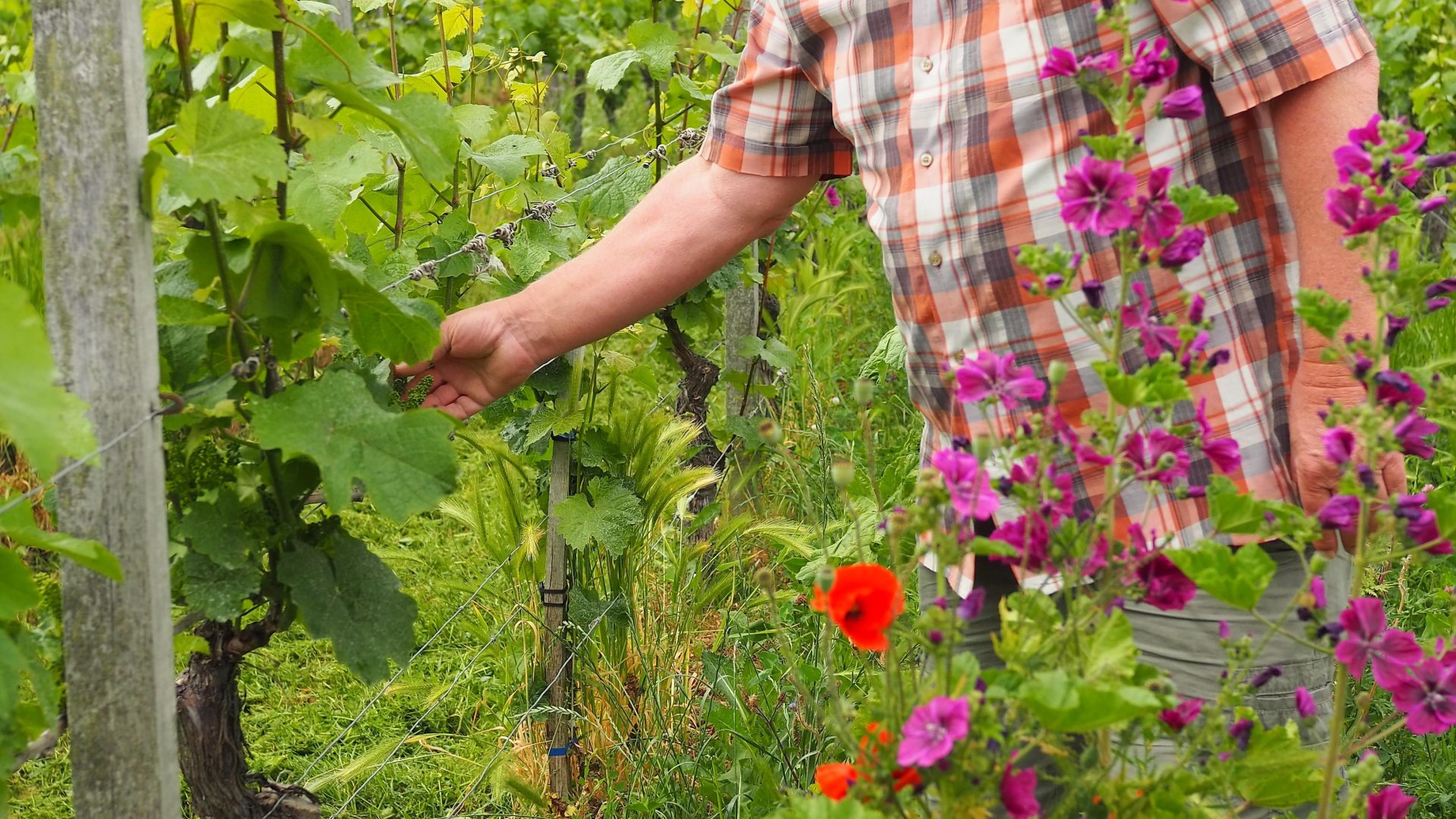 P6062375 | &copy; Familie Allendorf