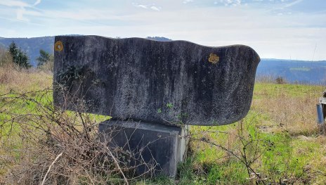 "Vogel" | &copy; T. Biersch