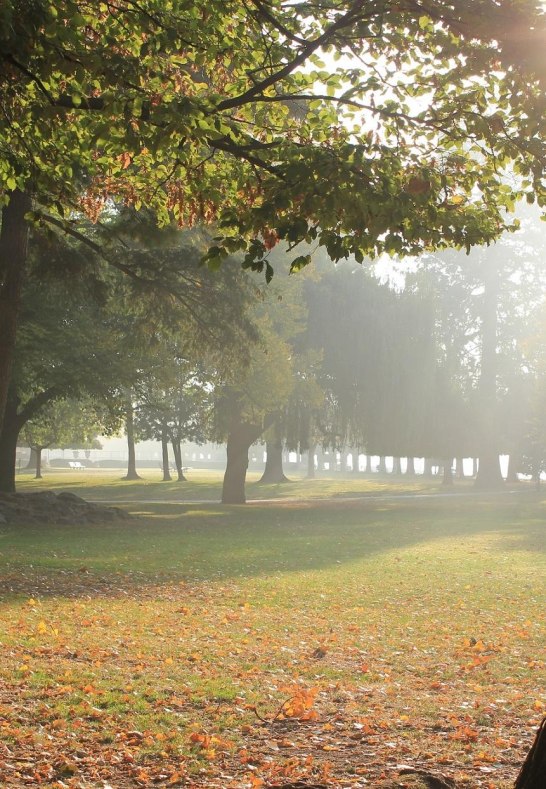 Hafenpark | &copy; R&uuml;desheim Tourist AG - Gaby Sch&auml;fer