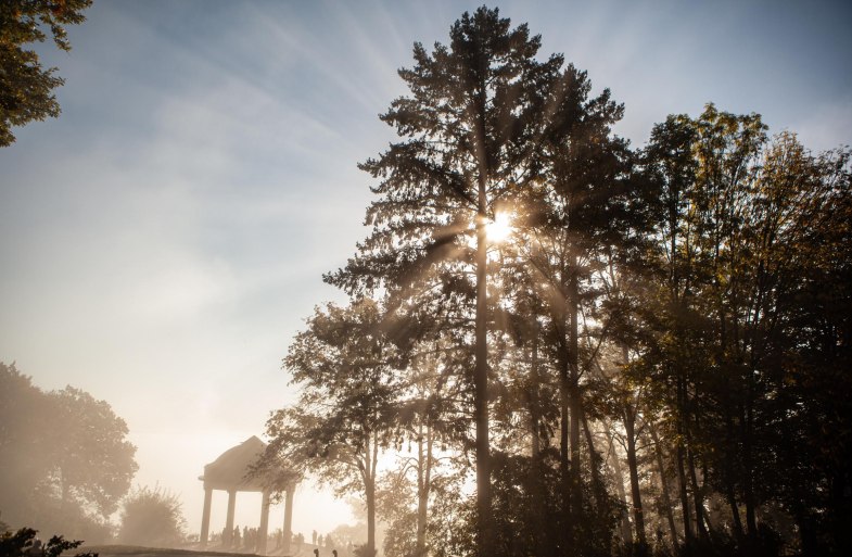 Osteinscher Niederwald Park | &copy; HA Hessen Tourismus, k22
