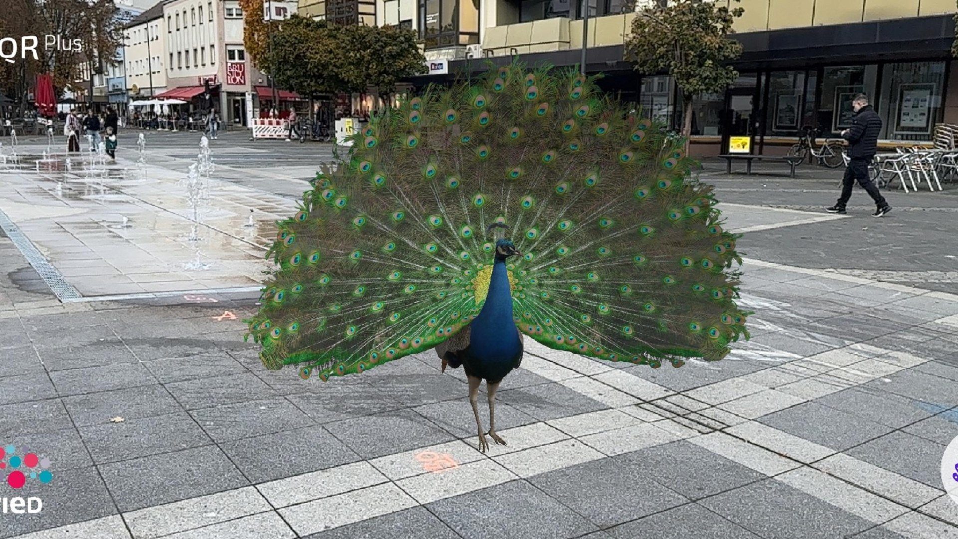AR-Pfau auf dem Luisenplatz | © Lena Geisler AR-Pfau auf dem Luisenplatz | © Lena Geisler