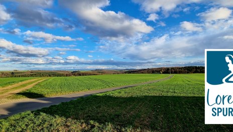 Wanderwege Weisel | &copy; Ulrike Dallmann, Loreley Touristik