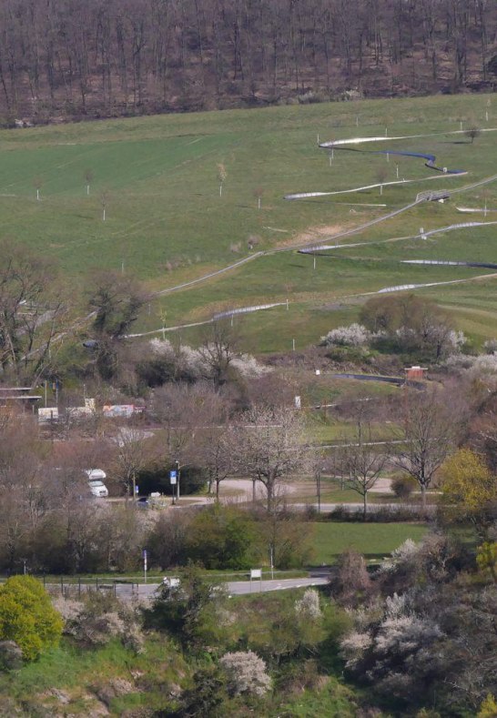 Sommerrodelbahn auf dem Loreleyplateau | © Bernhard Vogt Sommerrodelbahn auf dem Loreleyplateau | © Bernhard Vogt