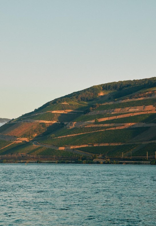 BERG SCHLOSSBERG Rüdesheim BERG SCHLOSSBERG Rüdesheim