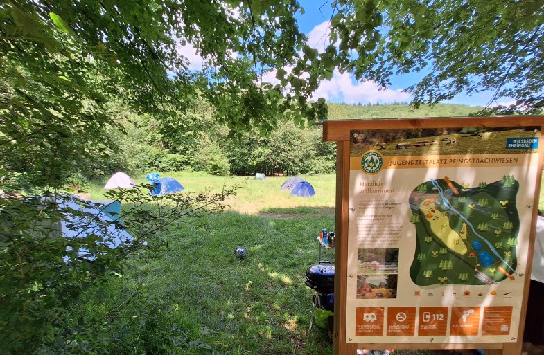 Pfingstbachwiesen | © RTKT Pfingstbachwiesen | © RTKT