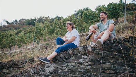 Weinberge | &copy; Weingut Goswin-Lambrich