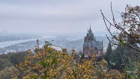 Rheinsteig 01. Etappe Bonn - K&ouml;nigswinter (Nord-S&uuml;d) | &copy; Mirko Vivus, Community