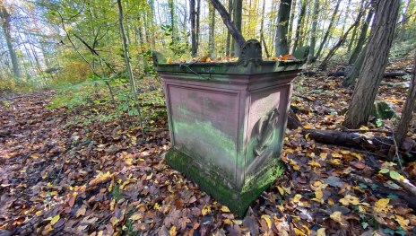 Der Goethestein im Wald oberhalb von Rolandseck. | &copy; Tourist-Information Remagen, Romantischer Rhein Tourismus GmbH