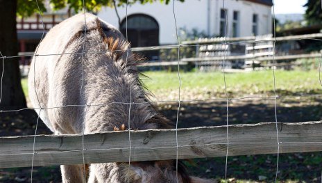 Wacholderhof I | &copy; Marc Nebel