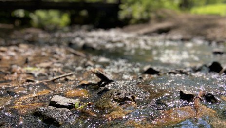 Pilgern | &copy; Hessenagentur