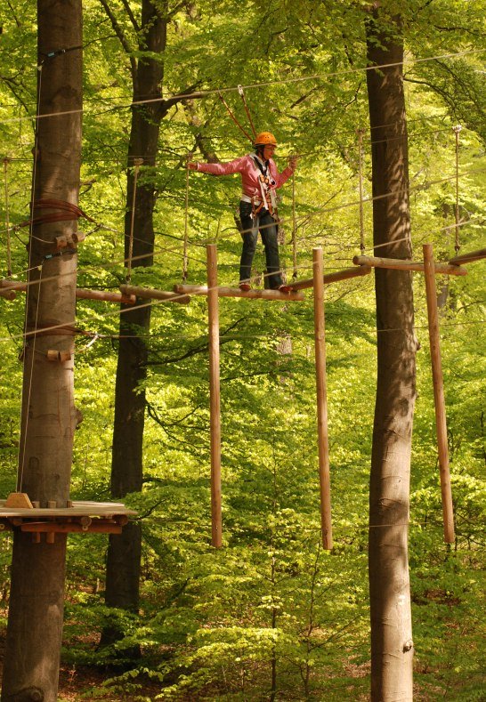 Kletterwald | &copy; Protime GmbH