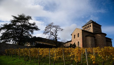 Basilika SchlossJohannisberg | &copy; Saskia Marloh
