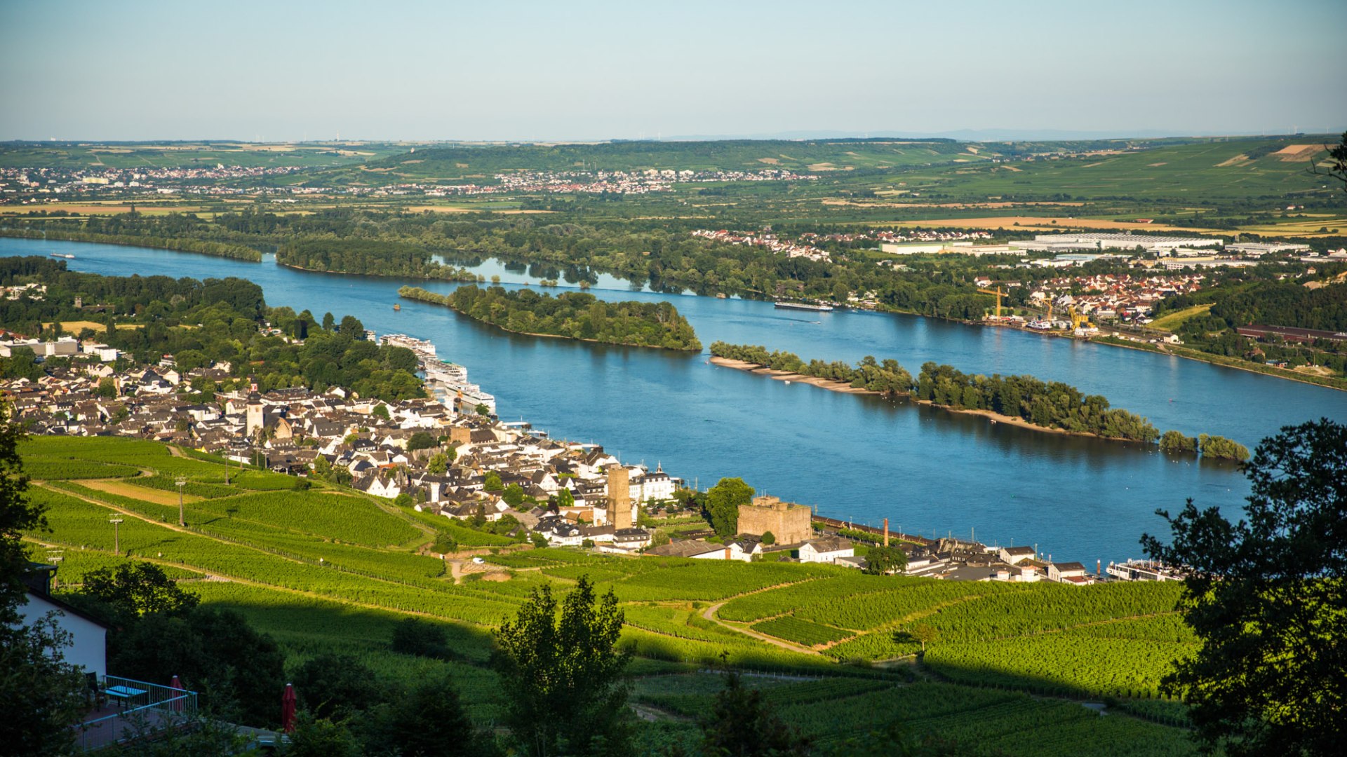 View of Rüdesheim | © Henry Tornow