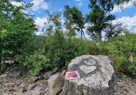 mit Buch | © Ulrike Dallmann mit Buch | © Ulrike Dallmann