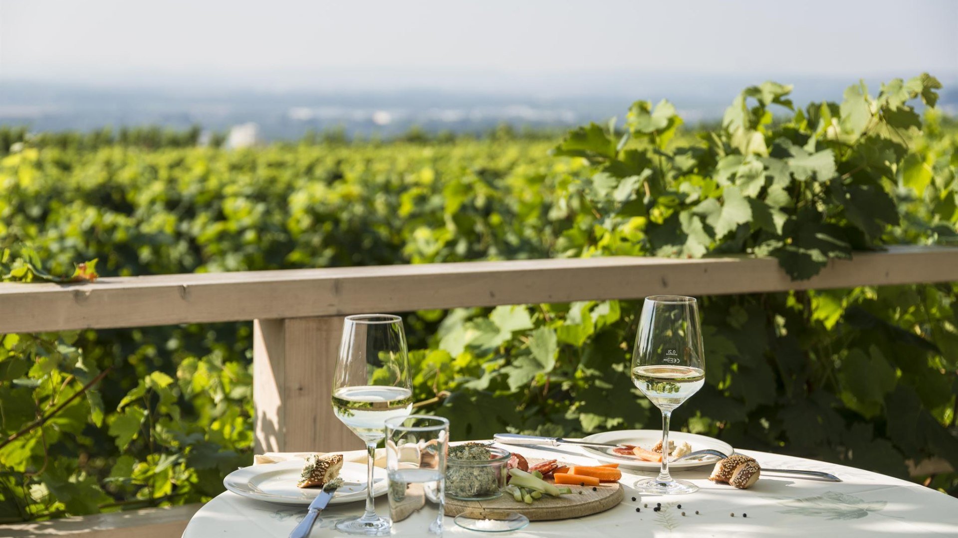 Terrasse Weingut Goldatzel | © Weingut Goldatzel Terrasse Weingut Goldatzel | © Weingut Goldatzel