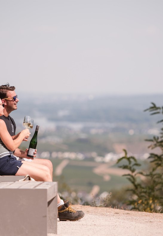 Niederwald-Tempel_Aussicht_Saskia Marloh | © RTKT, Saskia Marloh Niederwald-Tempel_Aussicht_Saskia Marloh | © RTKT, Saskia Marloh