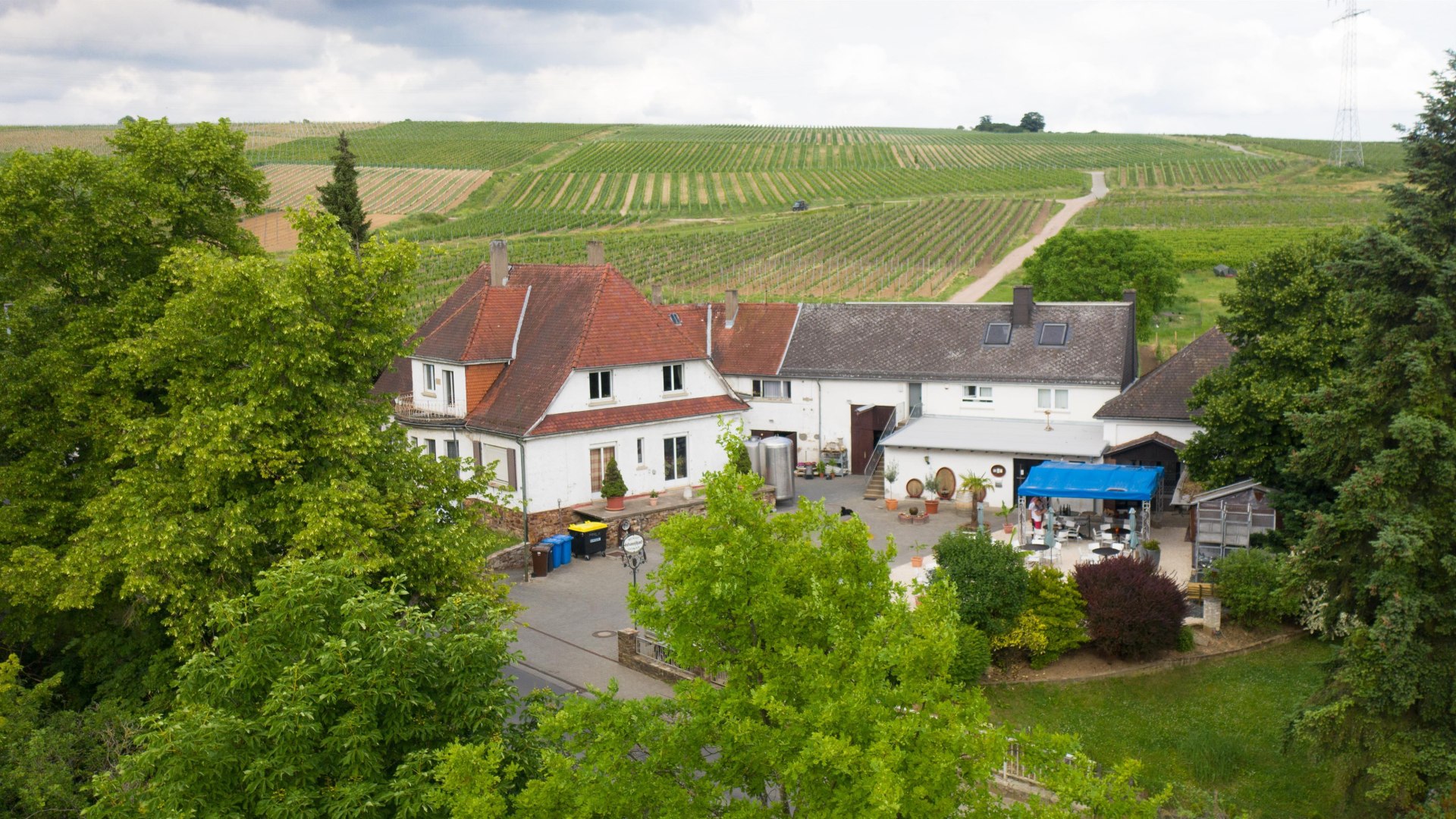 Weingut Jonas Vogelperpesktive | © Silvia Jonas