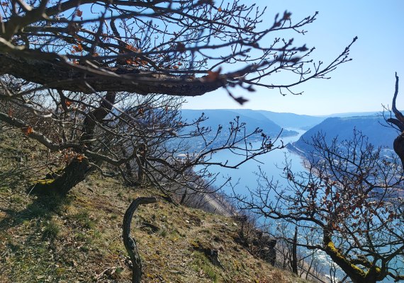 Ausblick von der Schutzhütte | © Ulrike Dallmann