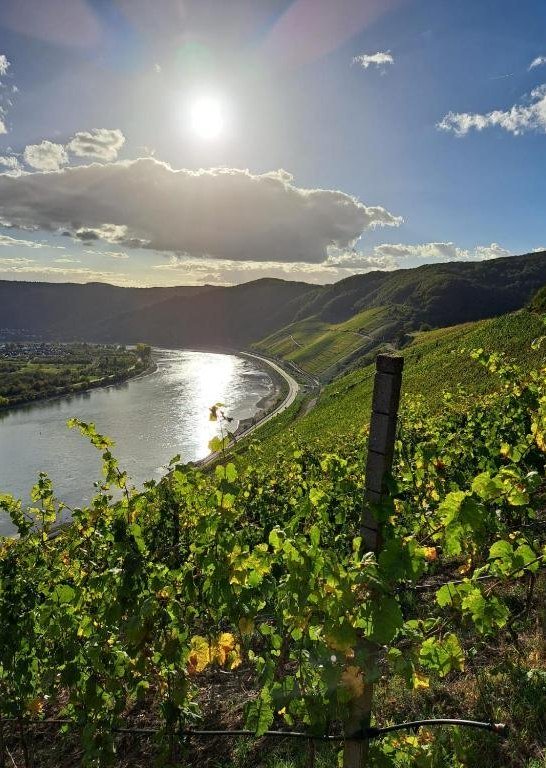 Aussicht 3 | &copy; Familie Nass,M&uuml;ller-Bryja