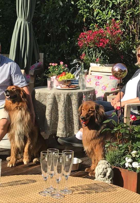 Britain 11 | &copy; Erik Spilles