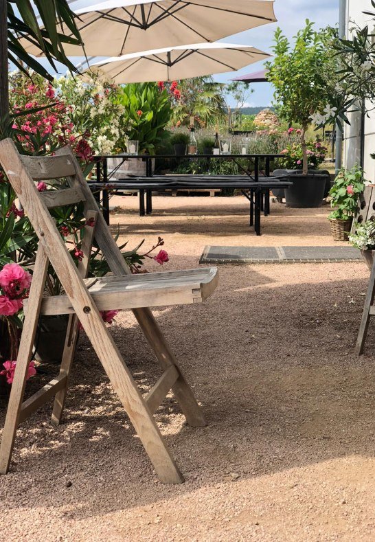 f664e6fb-2d29-42ee-a83e-2cac41c9fd3c | &copy; Weingut Dillmann