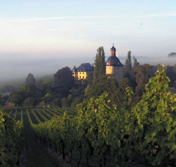 Vollrads Castle | © Romantischer Rhein Tourismus GmbH