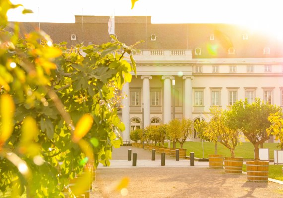 Kurfürstliches Schloss im Sonnenaufgang | © Johannes Bruchhof Kurfürstliches Schloss im Sonnenaufgang | © Johannes Bruchhof
