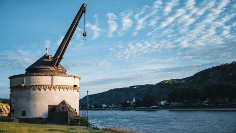 Alter Krahnen | &copy; Christoph Partsch