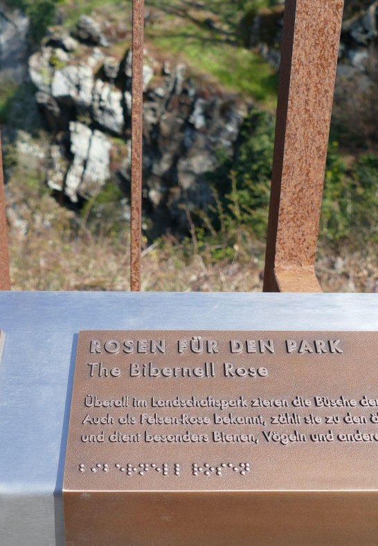 Bl&uuml;te | &copy; Armin Schaust