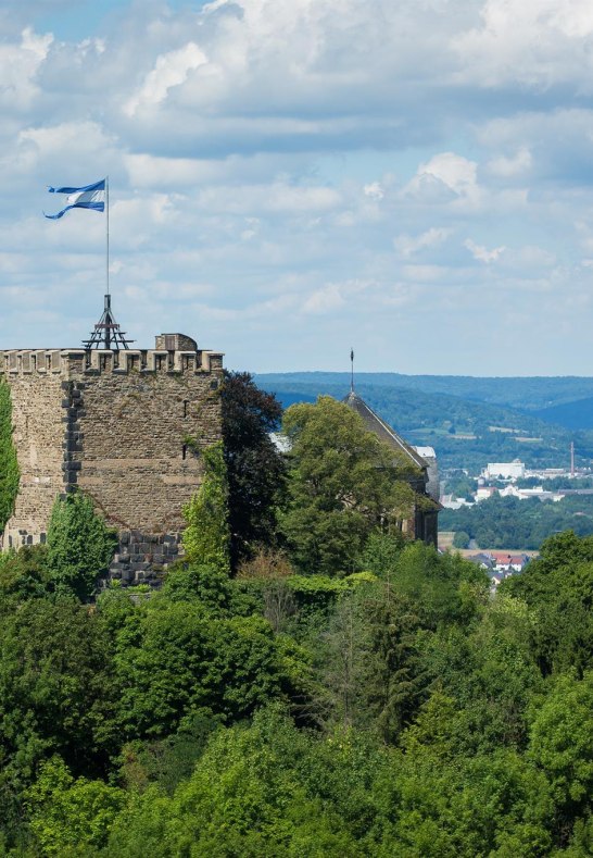 Blick auf Burg Rheineck | &copy; Henry Tornow