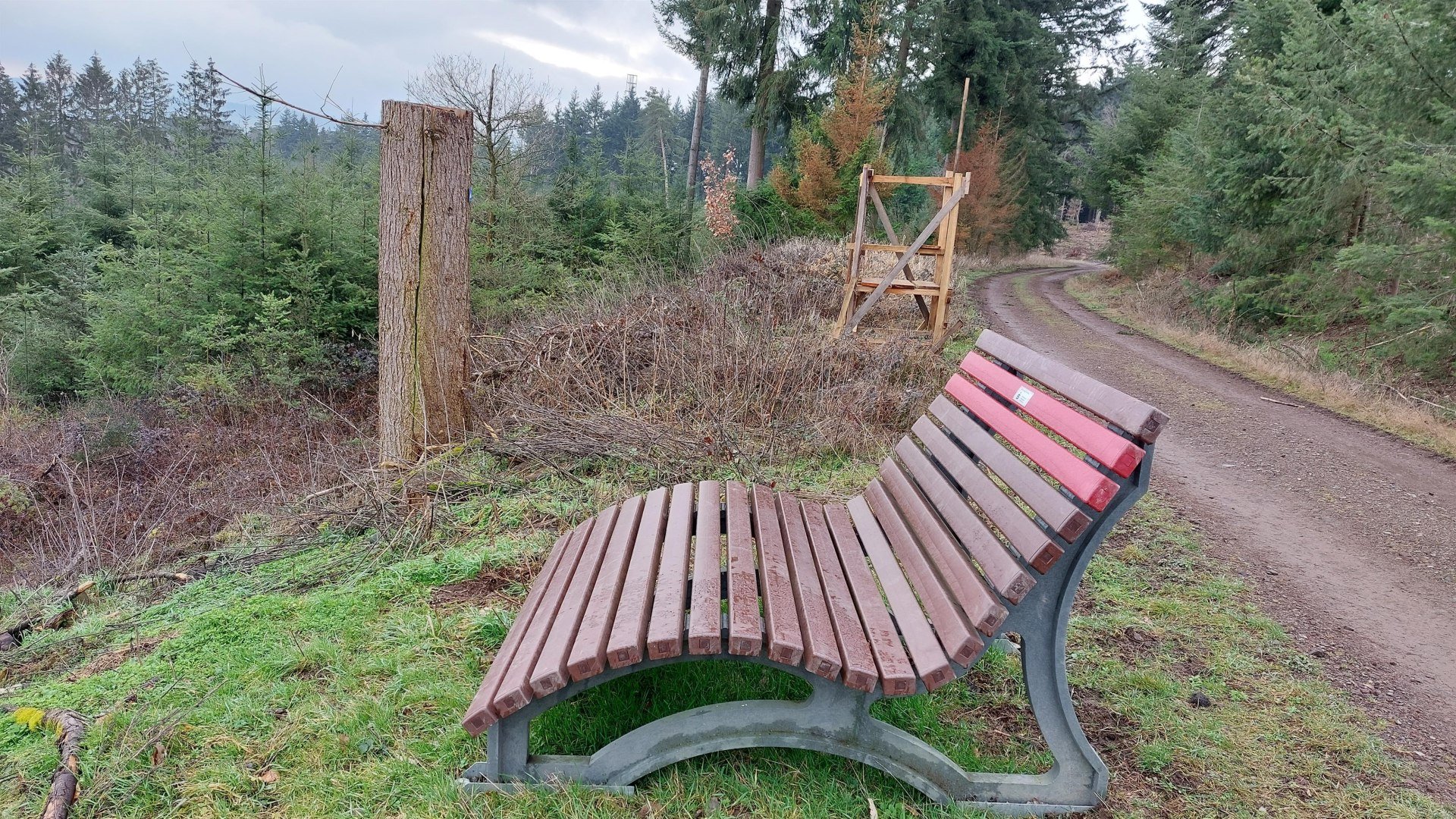 Ruhebank Damscheidblick | &copy; T. Biersch